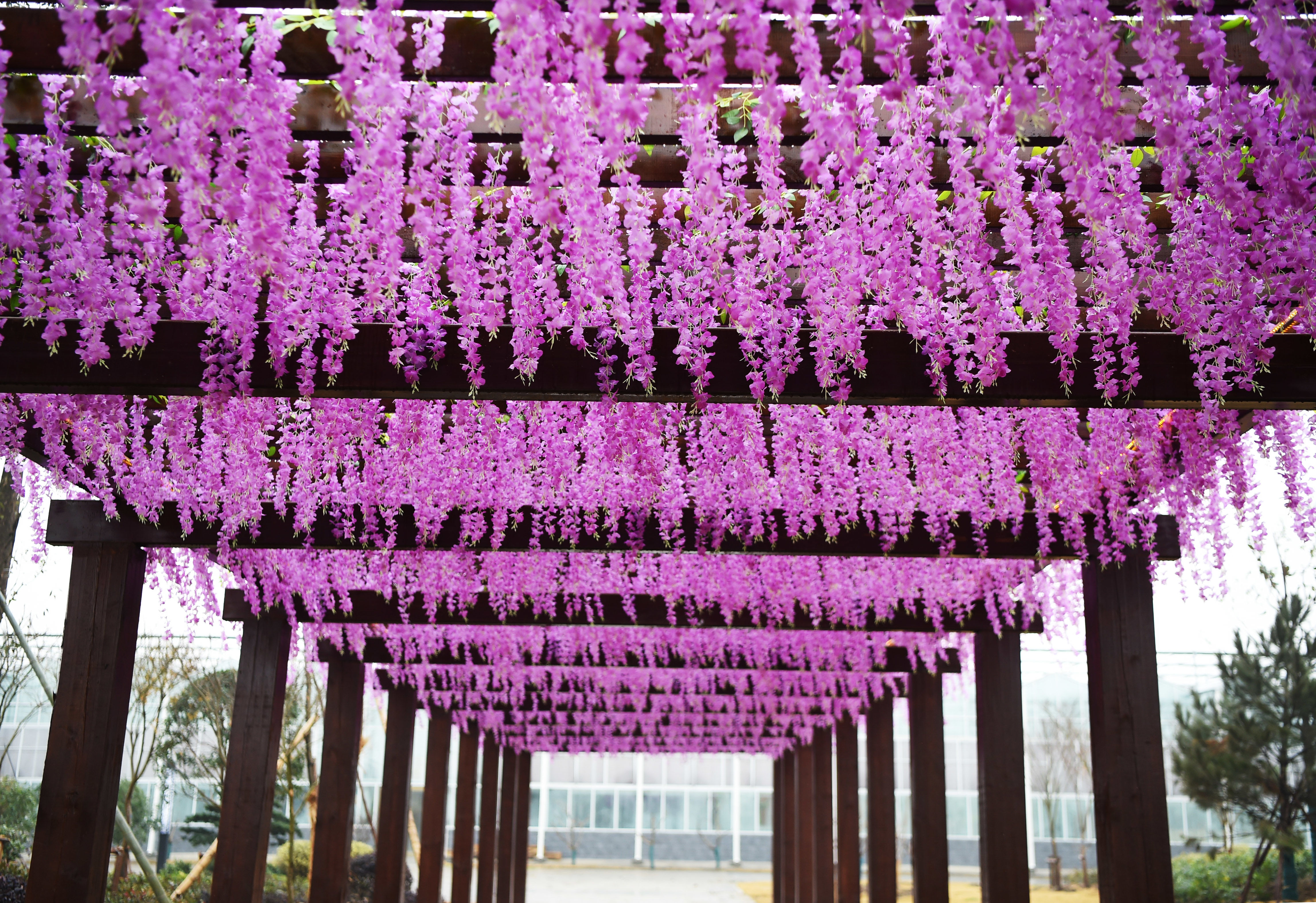 景区■荷花荡景区