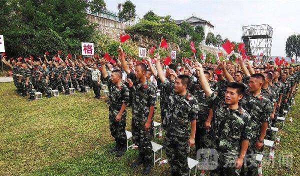 官兵|精彩纷呈！多地军民共庆“八一”|荔枝军事