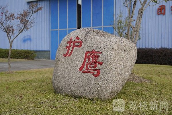 战鹰|战鹰“专属”，点赞这群追梦的修理兵|荔枝军事