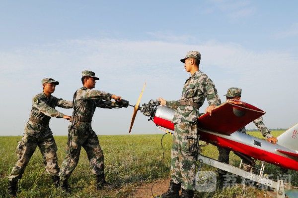 茫茫|茫茫草原硝烟起|荔枝军事