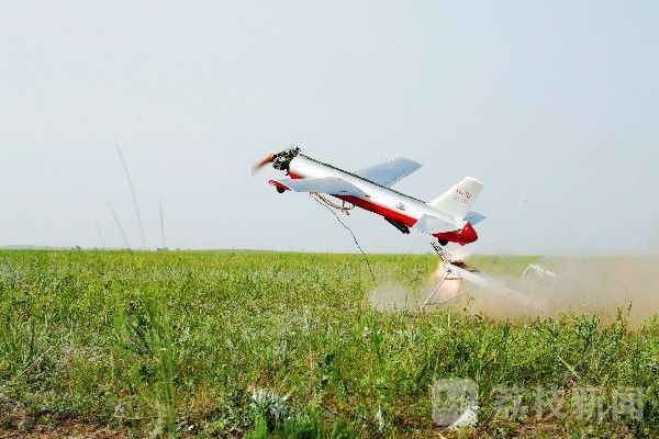 茫茫|茫茫草原硝烟起|荔枝军事