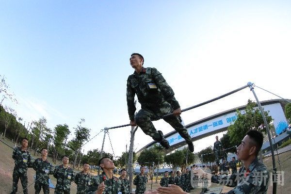 士官|奔涌吧，“准士官”|荔枝军事