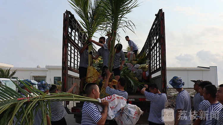 植树|海军驻西沙某部植树数十载：白色沙滩 “换新装”|荔枝军事