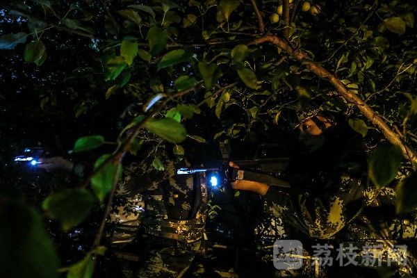 夜间|战斗，在夜间打响……|荔枝军事