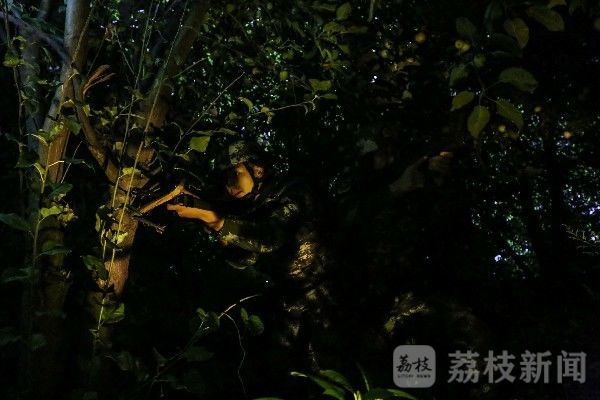 夜间|战斗，在夜间打响……|荔枝军事