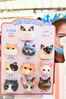 2020年8月21日，上海，2020第23届亚洲宠物展览会普通观众开放日，看宠物猫、宠物狗等萌宠带动消费经济热潮。