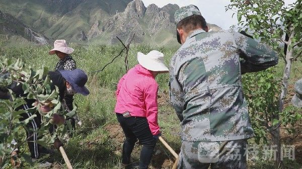 产业|第77集团军某旅：扶产业共建美丽藏乡|荔枝军事