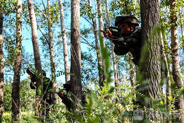 塔城|酷图来袭！直击武警塔城支队夏季大练兵丨荔枝军事