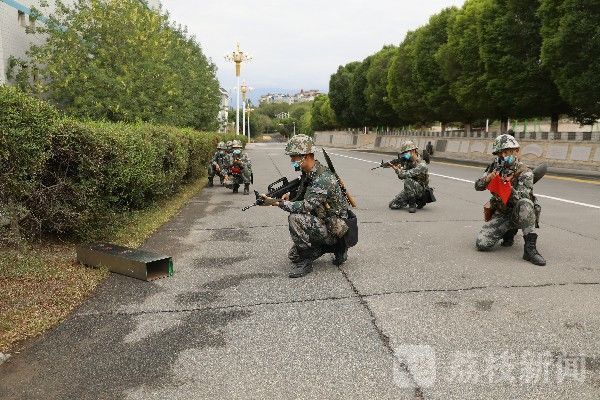 演练|淬火加钢！直击陆军边海防学院某校区综合演练|荔枝军事