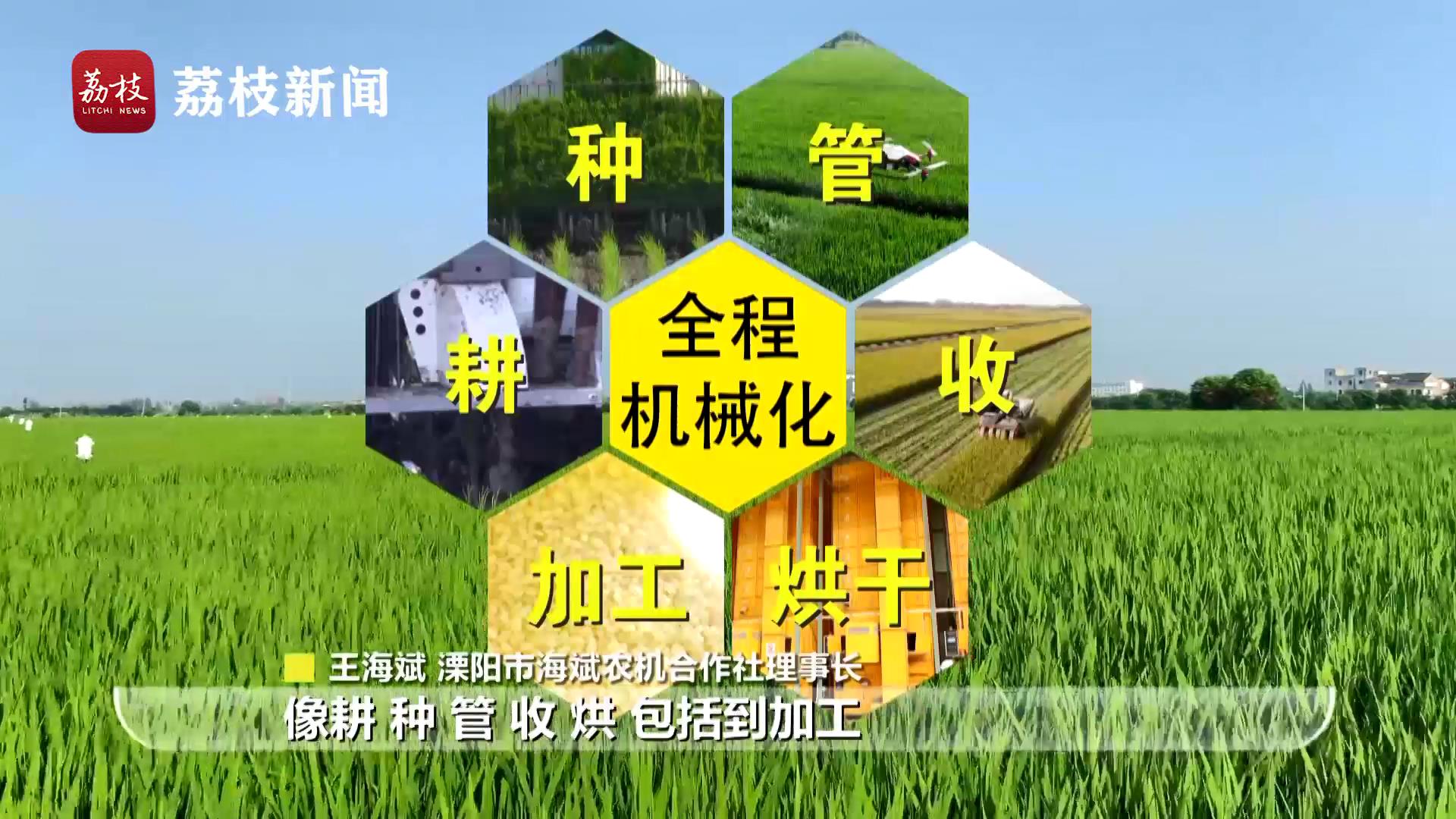 黄金时间丨从一粒米的诞生见识机械化的力量！