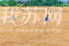 《精挑细选》，韦东摄于淮安洪泽。