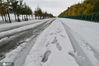 积雪覆盖的道路。