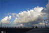 2020年9月12日，山东烟台海滨，行人行走在蓝天白云下。
