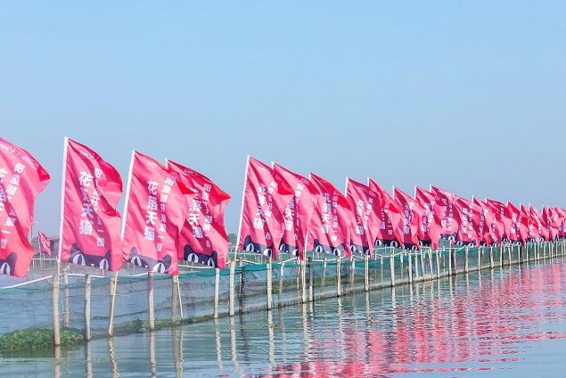 大闸蟹■对低价低质说不！大闸蟹五大湖区携手阿里巴巴打造线上好蟹