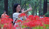 2020年9月14日，游客在扬州瘦西湖风景区的“彼岸花”花海里拍照。