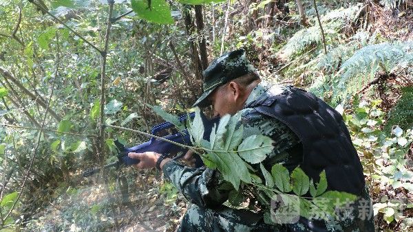 魔鬼|“魔鬼周”日记:最长的一周|荔枝军事