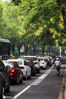 2020年9月16日，宁波镇明路。这条老宁波熟悉的马路，又到了一年中最美的时候！这条路上有款高颜值的行道树， 黄山栾树，开花了！已经美成了这样！