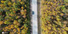 2020年9月15日，黑龙江省大兴安岭地区漠河市，在我国最北端，巍巍兴安岭上已是群树灿烂，桦树、柞树等阔叶树叶叶金黄。
