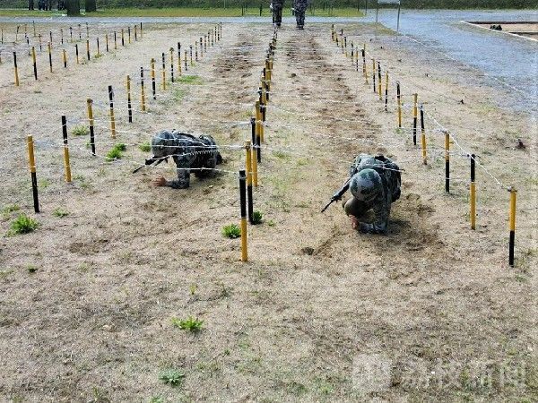 新兵|@2020女新兵，“知心骨干”等你来|荔枝军事