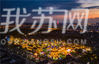 《老街夜色美》傅玉摄于淮安河下古镇。
