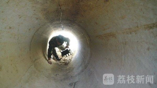 练兵|练兵！练兵！通信兵“燃爆”训练场！|荔枝军事