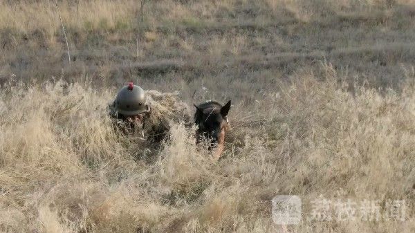 对抗|实兵对抗硝烟起,边防精兵猛如虎|荔枝军事