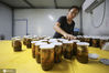 2020年9月13日，江苏省淮安市洪泽区养殖户在将制作的麻辣蟹打包，准备通过快递方式邮寄给客户。
