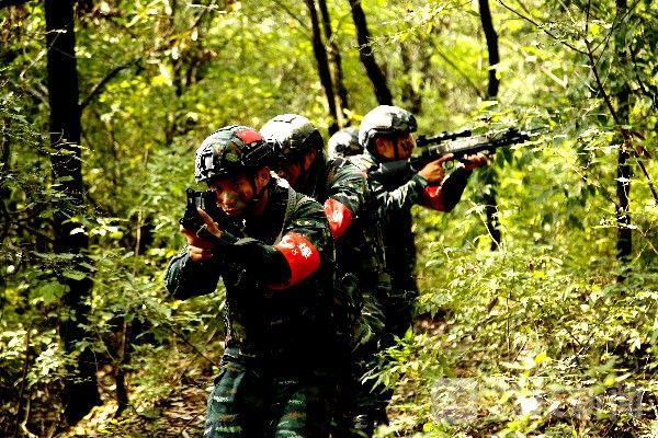 支队|武警某支队实战演训励尖兵|荔枝军事