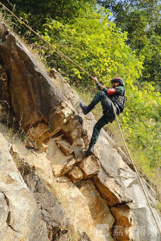 支队|武警某支队实战演训励尖兵|荔枝军事