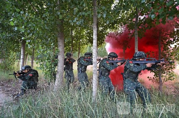 魔鬼|近观“魔鬼周”,特战尖兵“试比高”|荔枝军事