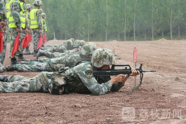 训练|一心向战！第80集团军某旅掀起了训练热潮|荔枝军事