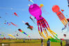2020年9月26日，山东省潍坊市，风筝放飞队伍在第37届潍坊国际风筝会现场放飞风筝。