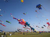 2020年9月26日，山东省潍坊市，风筝放飞队伍在第37届潍坊国际风筝会现场放飞风筝。
