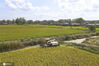 2020年9月27日，在江苏省淮安市洪泽区朱坝街道袁集村，农民驾驶收割机在田间收割水稻。