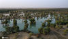 2020年9月28日，新疆巴音郭楞，塔里木河湿地巴音郭楞蒙古自治州尉犂县段的秋色。