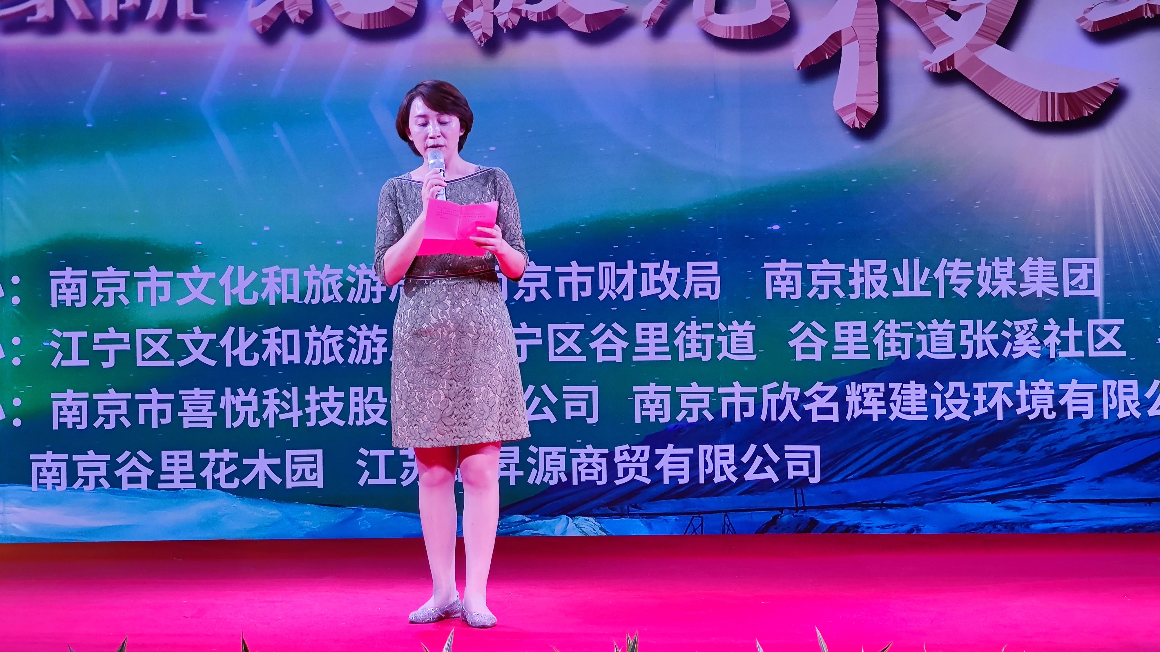 ■2020“美丽乡村欢乐汇·徐家院北极光夜生活集市”活动在江宁启动