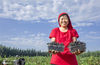 2020年9月5日，山东省邹平市莓丰林农业“野樱莓”种植基地，一市民展示采摘的“野樱莓”。司德明/IC photo
