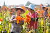 2020年9月6日，在江苏省如皋市磨头镇丁冒村鲜花种植基地，农民在打理种植的美人蕉花卉。徐慧/IC photo
