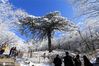 2017年12月17日，游客在安徽黄山风景区游览拍摄观光雪凇。施广德/IC photo

