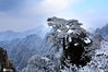 2020年1月29日，在安徽黄山风景区拍摄的雪凇景观。施广德/IC photo
