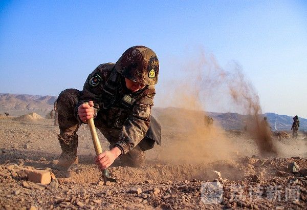 新人|火焰山下砺精兵葡萄廊里育新人|荔枝军事