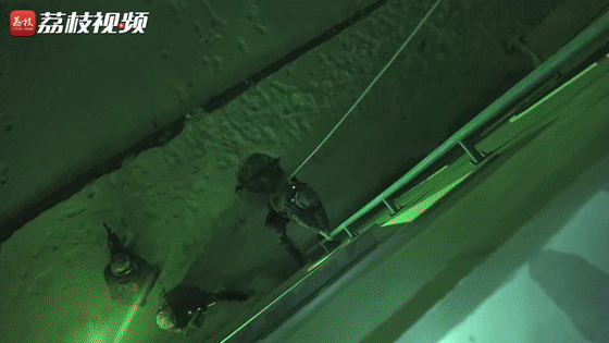 夜间|摄氏零下25度~战斗在夜间打！|荔枝军事