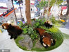 2021年1月19日，广东广州，动物标本展位于正佳广场1楼中庭和东北庭，通过系列生物标本和场景还原相结合，呈现了“野性北美落基山脉生物群”、“世界上最高的动物：长颈鹿”、“马达加斯加的精灵：环尾狐猴”和“萌宠小熊猫”四大主题场景。 