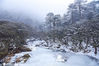 2021年1月21号，云南昆明轿子雪山冰瀑、雾凇，绝美雪景，宛如冰雪童话世界！