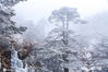 2021年1月21号，云南昆明轿子雪山冰瀑、雾凇，绝美雪景，宛如冰雪童话世界！