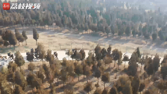 考核|侦察兵极限考核锤炼实战能力|荔枝军事