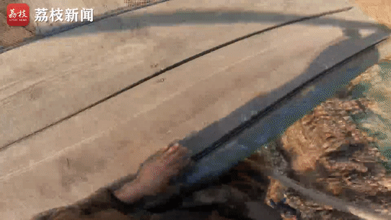 考核|侦察兵极限考核锤炼实战能力|荔枝军事