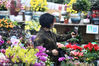 2021年1月23日，新年将至，南京，不少市民来到市内的各大花卉市场，选购鲜花，喜迎新春佳节。
