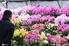 2021年1月23日，新年将至，南京，不少市民来到市内的各大花卉市场，选购鲜花，喜迎新春佳节。

