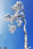 2021年1月5日，吉林省敦化市林业局新立林场新开岭上，雪深齐腰，高山雾凇，银装素裹分外妖娆。